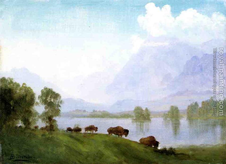 Albert Bierstadt : Buffalo Country